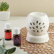 Asian Aura Ceramic Electric Aroma Diffuser Diffuser Set Electric Aroma  (20 ml)